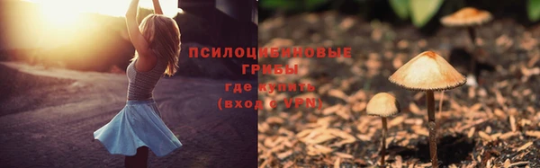 синтетический гашиш Инта