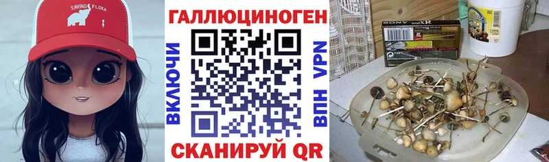 Купить где  Калязин  Псилоцибиновые грибы мухоморы 